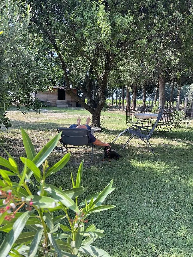 Gites Violettes Et Amandier Violès Frankreich
