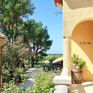 Bed & Breakfast Le Clos Vitis, Violes